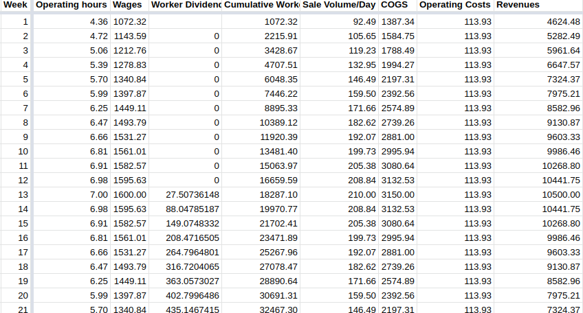 Spreadsheet of weekly costs and revenues