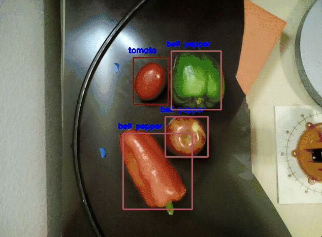 YOLO model failing and misidentifying objects