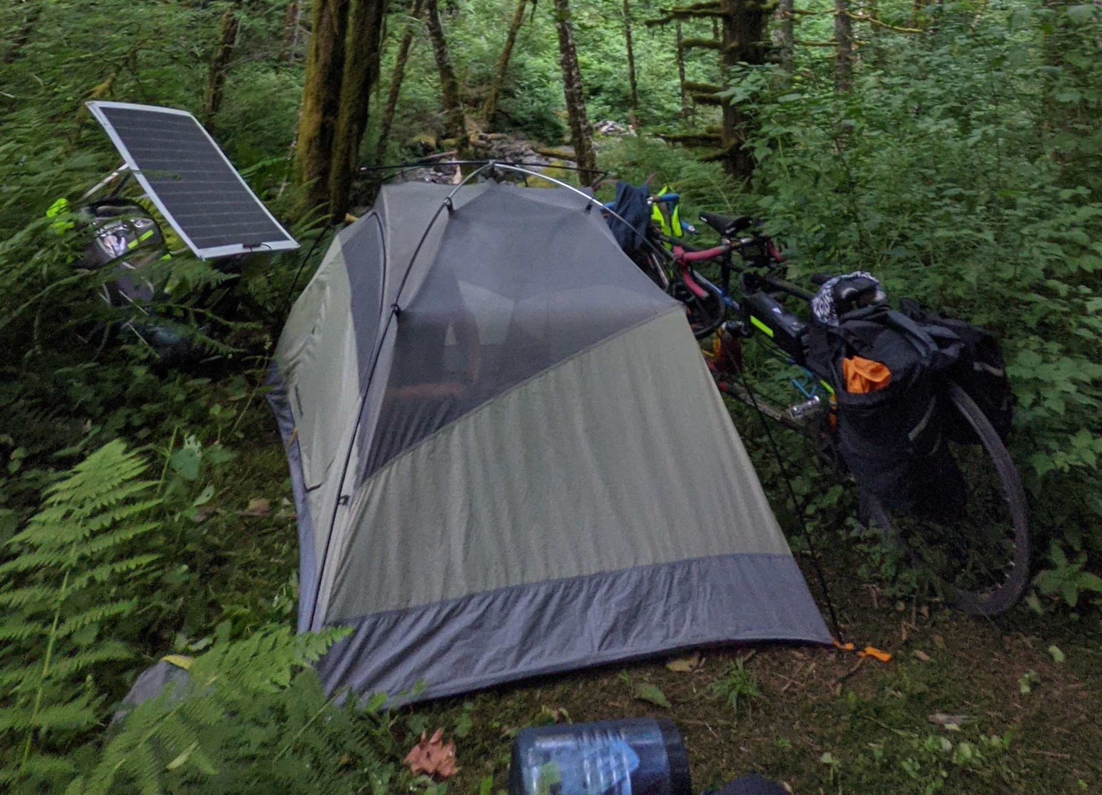 a camp in the woods