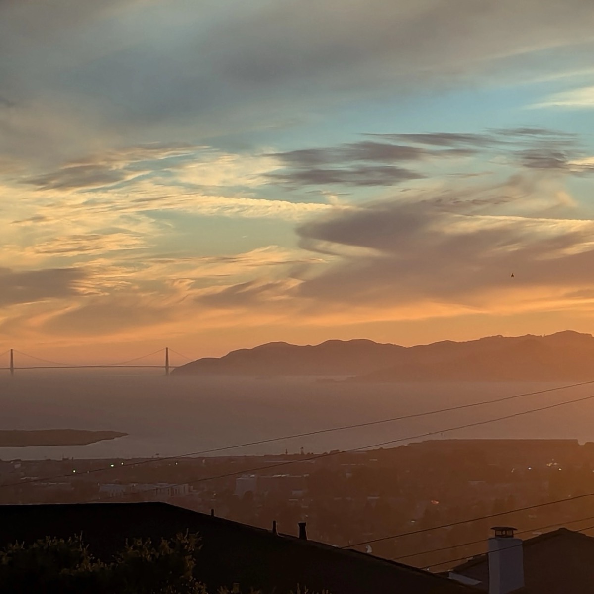 Photos of local hikes, ferry rides, and BART-to-bike trips around Berkeley with our baby